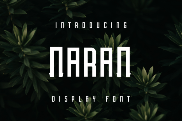 Naran: A Bold and Expressive Display Font