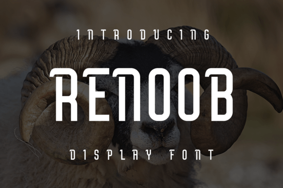 Renoob: A Fun and Unique Display Font for Modern Web Design
