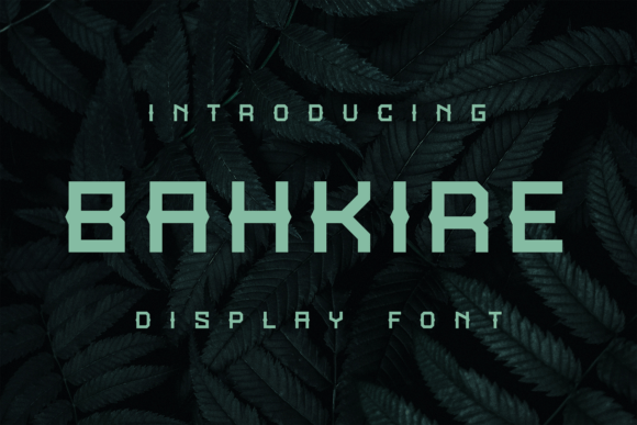 Unleash Creativity with Bahkire: A Funky Display Font